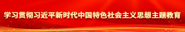 我想看女生的屄学习贯彻习近平新时代中国特色社会主义思想主题教育