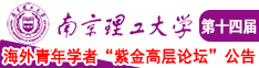 和骚贷打炮南京理工大学第十四届海外青年学者紫金论坛诚邀海内外英才！